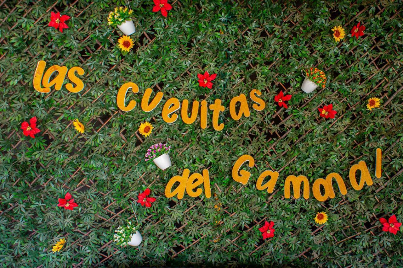 Las Cuevitas Del Gamonal Santa Brígida Extérieur photo